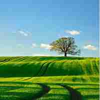 关​键‌词﻿ 动​漫‌